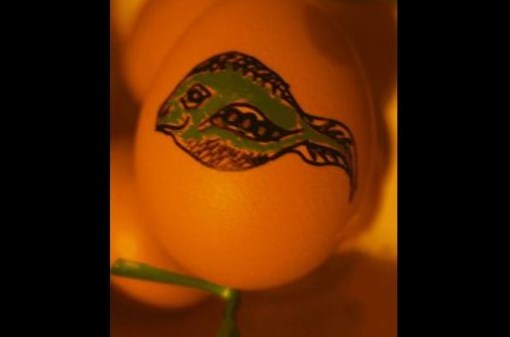 Alternativní velikonoční vajíčko