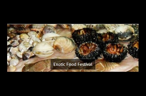 Exotic food festival :-)