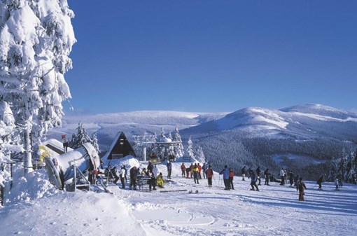 Běžkování / lyžování v Harrachově