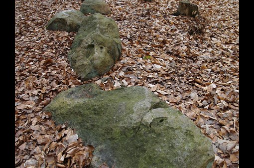 Pojďme odhalit tajemství kounovských kamenných řad!