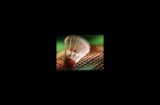 Pravidelný badminton č.: 46.1