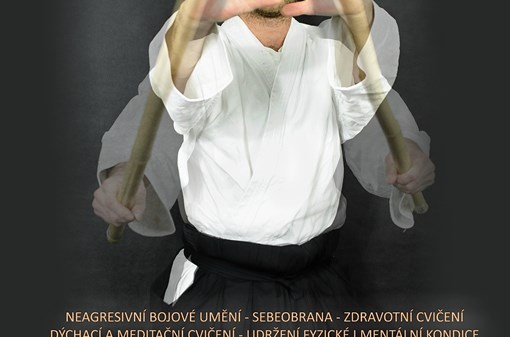 Workshop aikido