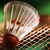 Společný badminton 13.1
