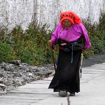 Tibet walking
