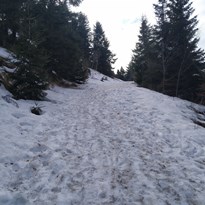 Sníh na Jedlové.