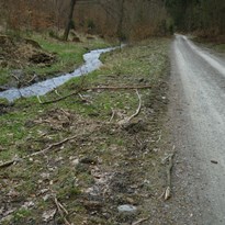 164 - Nádherná cesta z kopečka podél potoka Lichnička