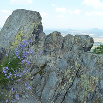 Skály na Sedle (na obzoru kopce Ronov a Vlhošť)
