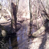 12 - Hluboký potok, který nebyl hluboký ale mělký a nebyl to moc potok, ale spíš pidi potůček.