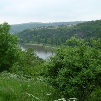 31 - Výhled na Vltavu