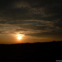 Zlaté slunce