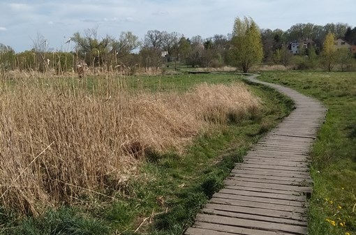 Odpolední procházka pražskou přírodou