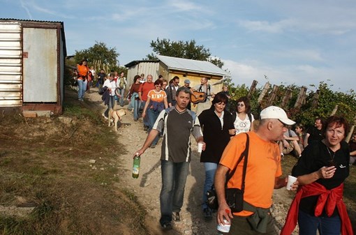 Pochod slováckými vinohrady