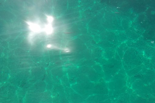 Plavání ve slané vodě