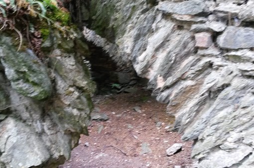 Výlet na zříceninu hradu Jenčov asi 17 km