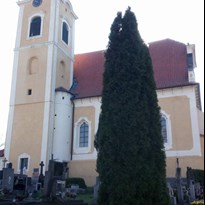 Nějaká kultura - Smolnice (kostel sv. Bartoloměje)