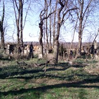 Hřbitov Mšec