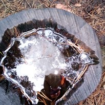 voda a led v pařezu