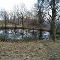 Bezejmenný rybník pod Tolštejnem.