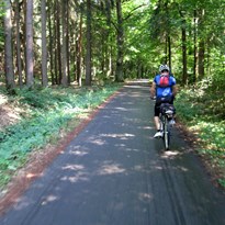 Na lesní cyklostezce mezi Třebechovicema a Týníštěm