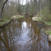 5 - Nová řeka