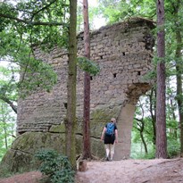 Zřícenina hradu Vítkovec. Zdivo z něj bylo použito na výstavbu kostela v Holanech.