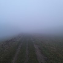 2 - A mlha byla hustá tak, že by se dala krájet..
