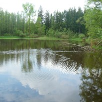 3 - Přírodní park Hřebeny...a Horní rybník