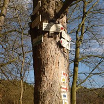 Označkovaný strom