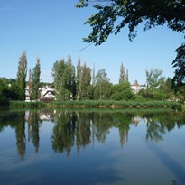 Plaský rybník