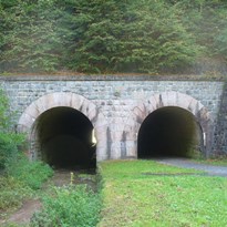 Tunel pod železnicí u Senohrab.