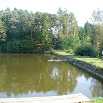 Rybník Na Losích v Přívozu.