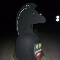 Na závěr - černý kůň (Srbsko)