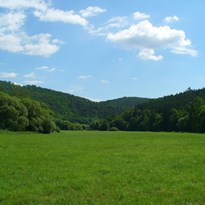 Krajina v údolí pod Rakovníkem. Cyklotrasa vede podle Rakovnického potoka.