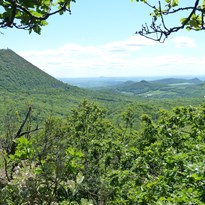 Pohled z vrchu Zvon na Milešovku, Ostrý a Oltářík. Na obzoru Říp. 