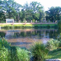 rybník u Kajetánky