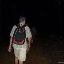 Noční pochod lesíkem se skučícím větrem nad námi