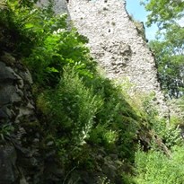 Zřícenina hradu Tolštejn