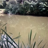 Eutrofizovaný rybník v Poříčí