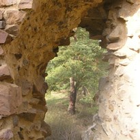 5 - Bývalé okno a za ním strom